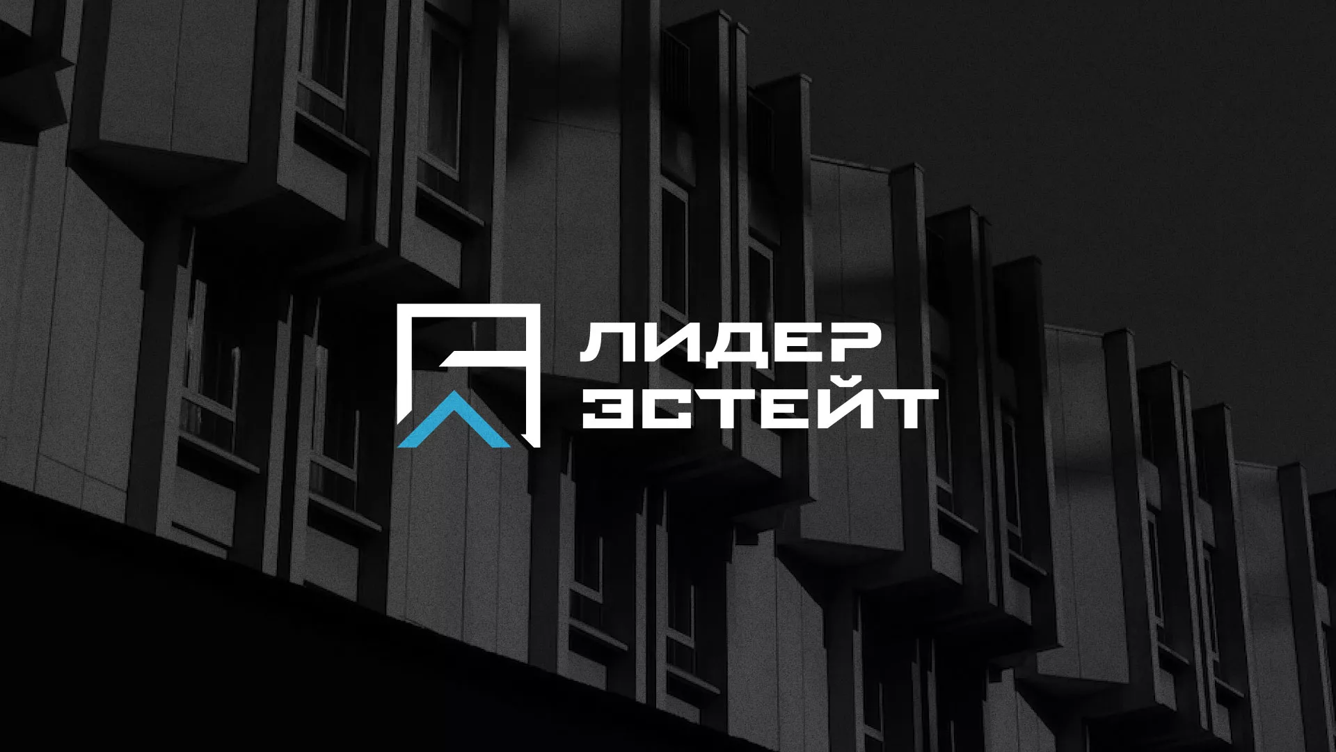 Разработка логотипа агентства недвижимости «Лидер Эстейт» в Чулыме