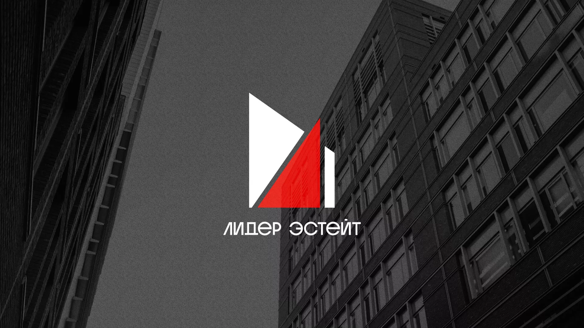 Сделали логотип для агентства недвижимости «Лидер Эстейт» в Чулыме